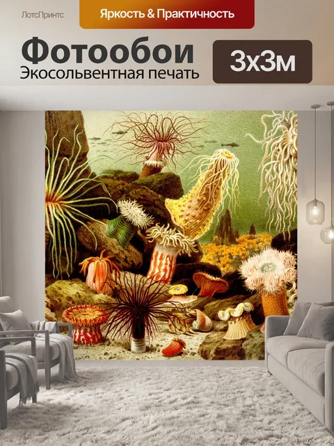 Фотообои Морской анемон винтажный принт
