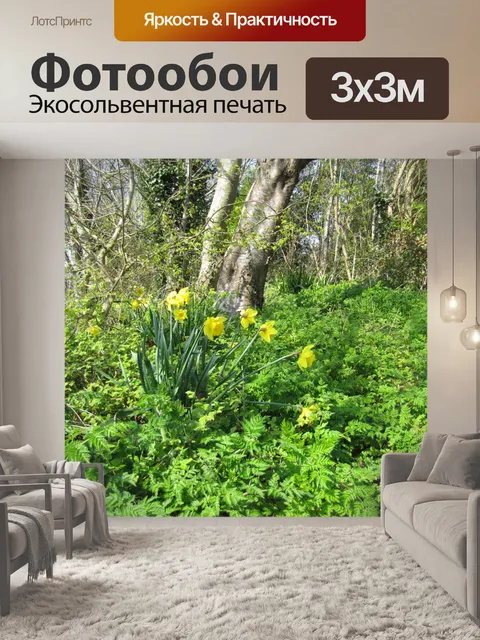 Фотообои Дикие нарциссы