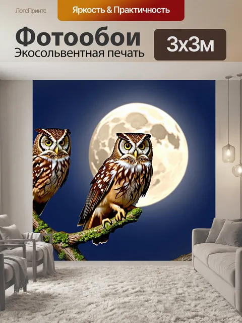 Фотообои животные, лесные совы, сидящие на ветвях деревьев ночью, с полной луной на небе
