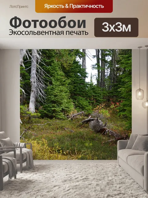 Фотообои Альпийский луг