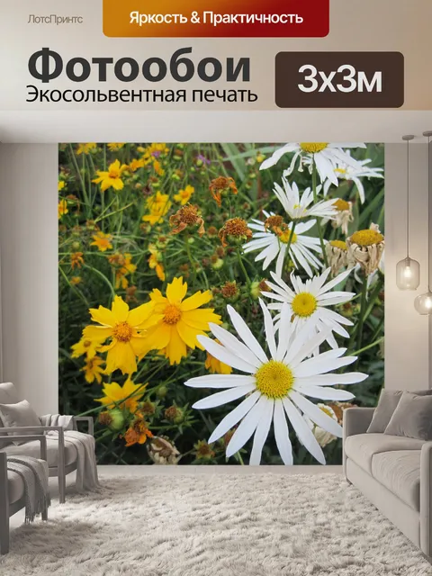 Фотообои белые и желтые ромашки