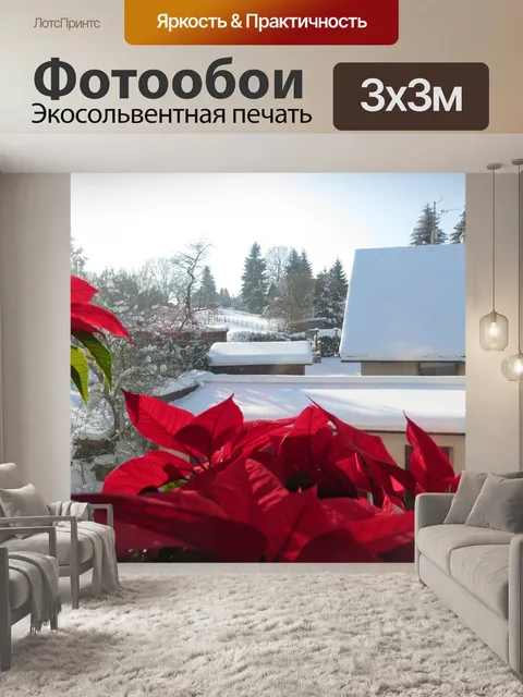 Фотообои Зимний вид из окна