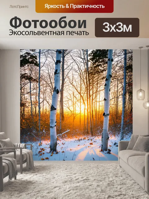 Фотообои Зимний лес с белыми березами, светящимися на фоне заката