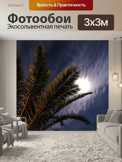 Фотообои Ночь