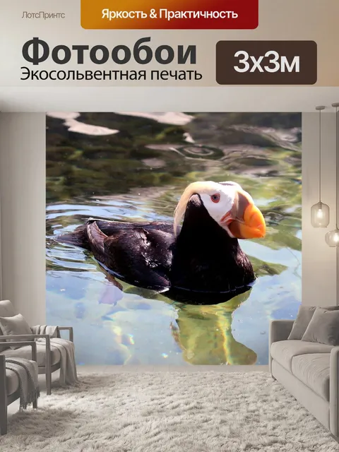 Фотообои Макароны буревестник