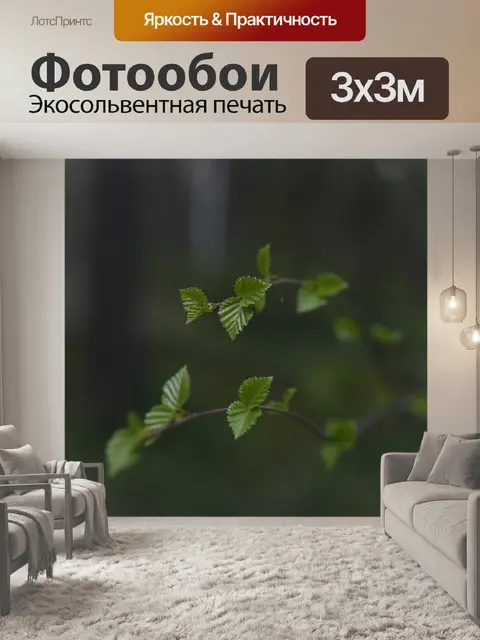 Фотообои Листья березы