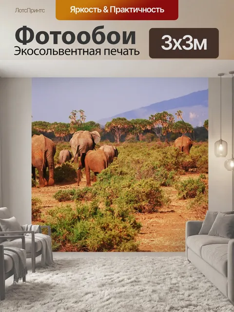 Фотообои Слоны