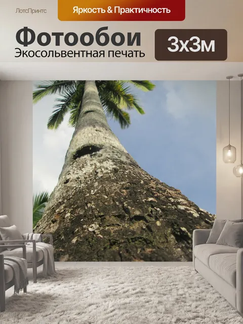 Фотообои Пальма