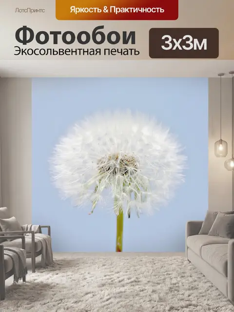 Фотообои Голова цветка одуванчика