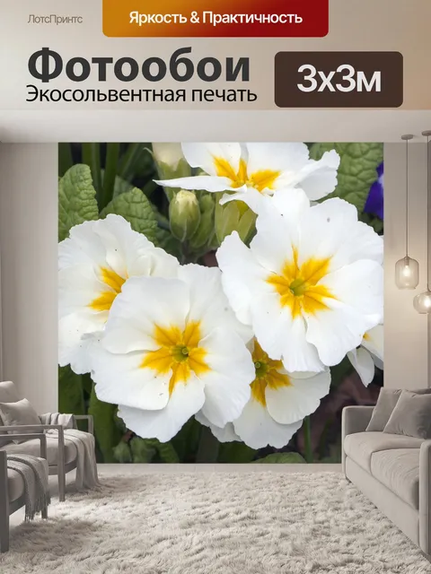 Фотообои Цветы белые Первоцветы