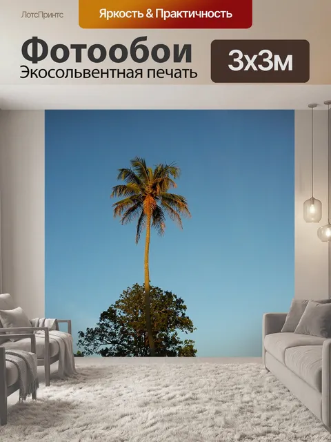Фотообои Кокосовое дерево