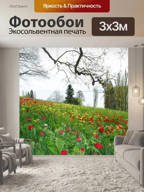 Фотообои Тюльпаны