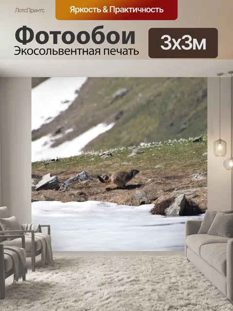 Фотообои Гонка