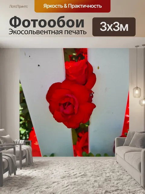 Фотообои Красная Роза Белый Забор