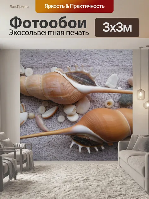 Фотообои Ракушки
