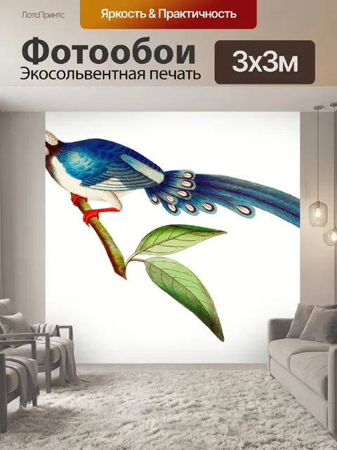 Фотообои Птица тропических старинных искусства
