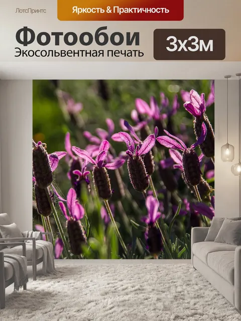 Фотообои Лаванда