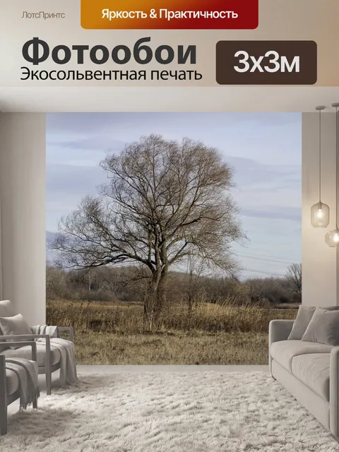 Фотообои Вуд