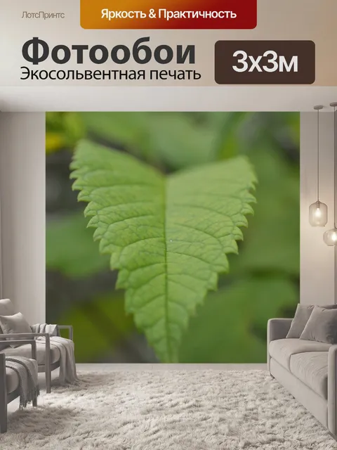 Фотообои Зеленый