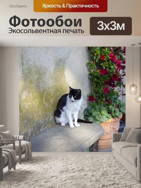 Фотообои Кошка