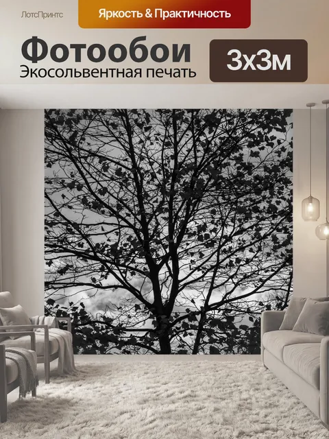Фотообои Дерево Силуэт