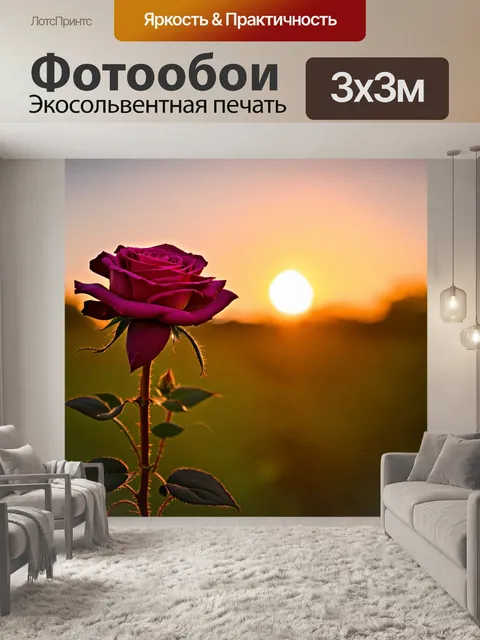 Фотообои цветущая роза на фоне заката