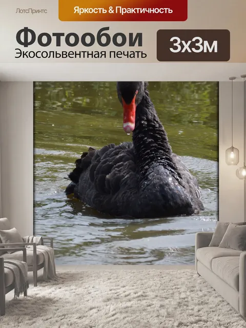 Фотообои Черный лебедь Series 3, принц 6
