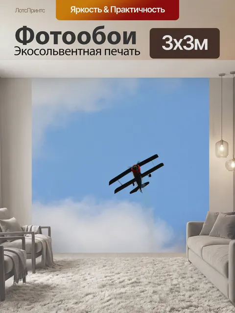 Фотообои Модель самолета