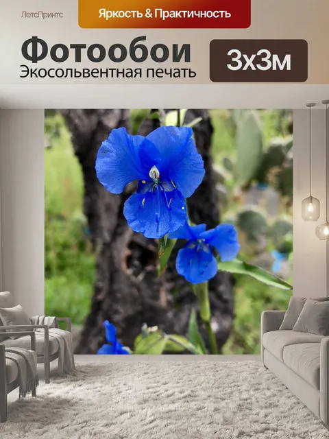 Фотообои Синий