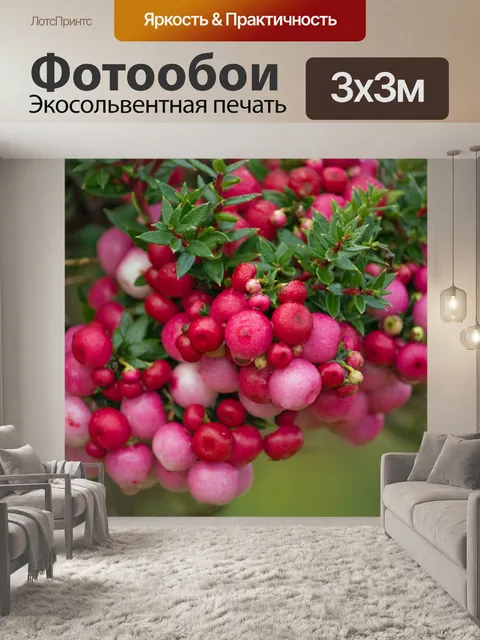 Фотообои Красные ягоды