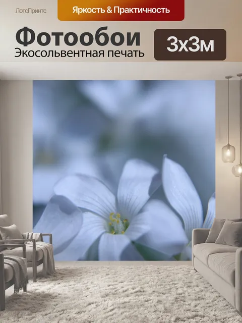 Фотообои Белый трио