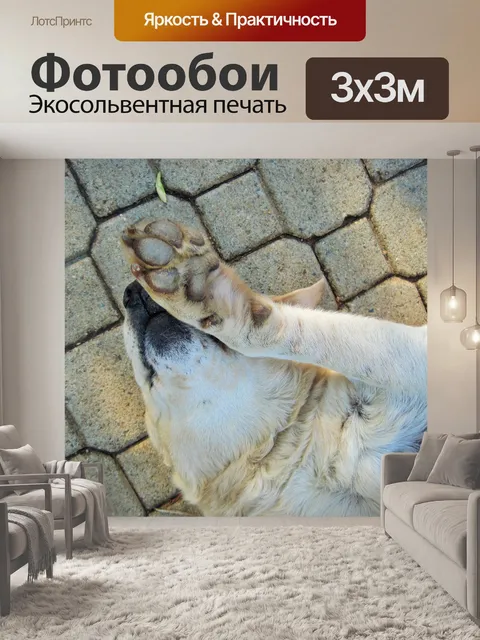 Фотообои лапать до ретривер