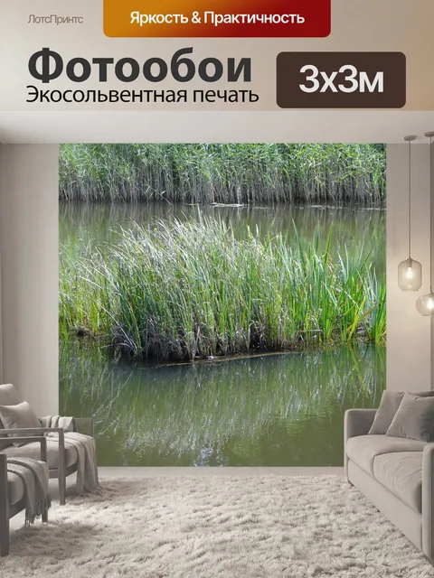 Фотообои Остров