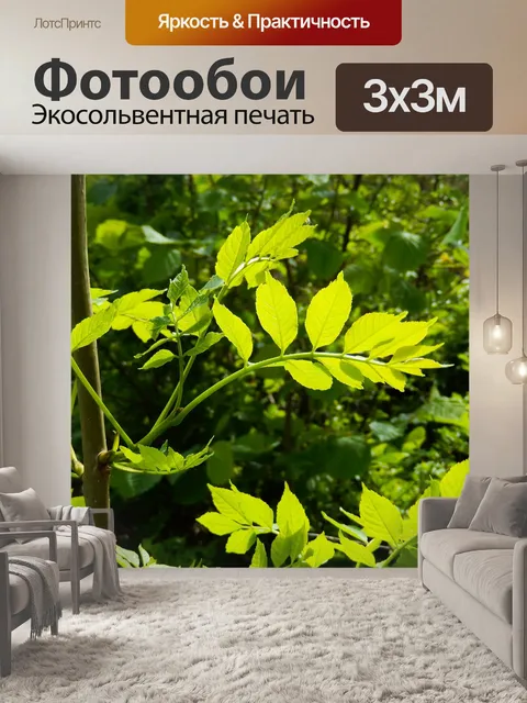 Фотообои Рябина обыкновенная