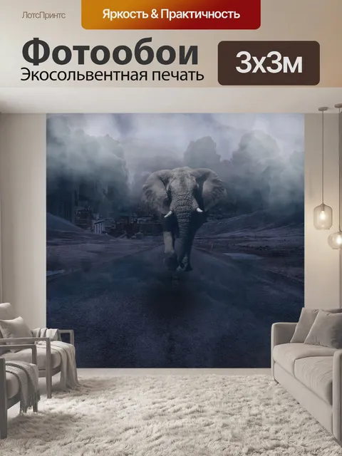 Фотообои Слон