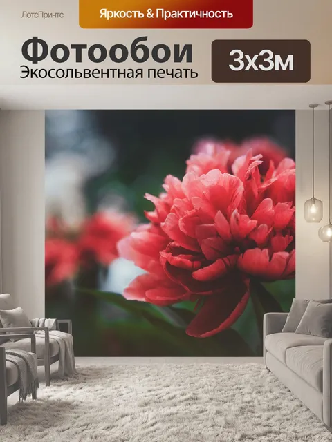 Фотообои Красные цветы