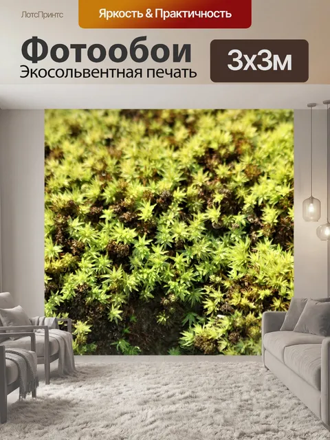 Фотообои Зеленый мох макро фон
