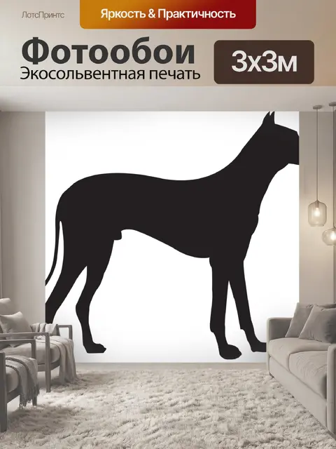 Фотообои Собака