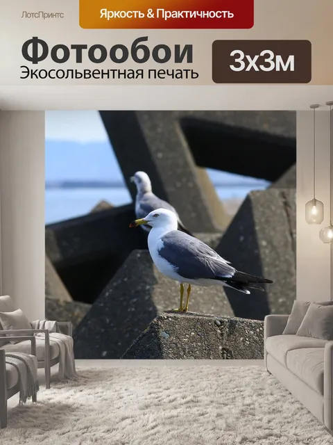 Фотообои Животное