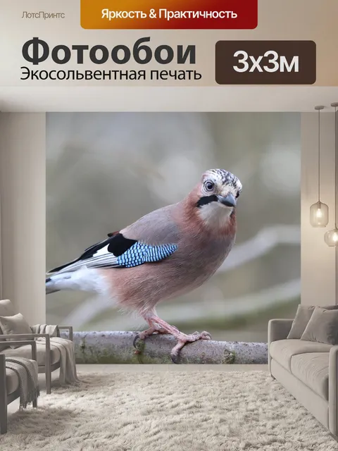 Фотообои Птица