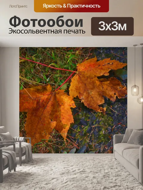 Фотообои Осенние листья
