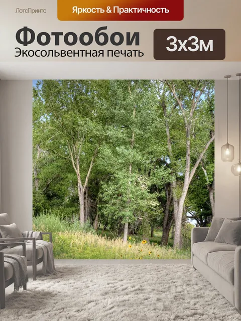 Фотообои Подсолнухи и деревья