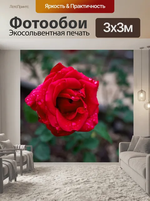 Фотообои Сад