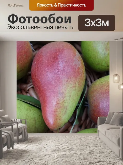 Фотообои Груша