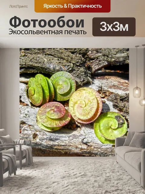 Фотообои Геометрия завода