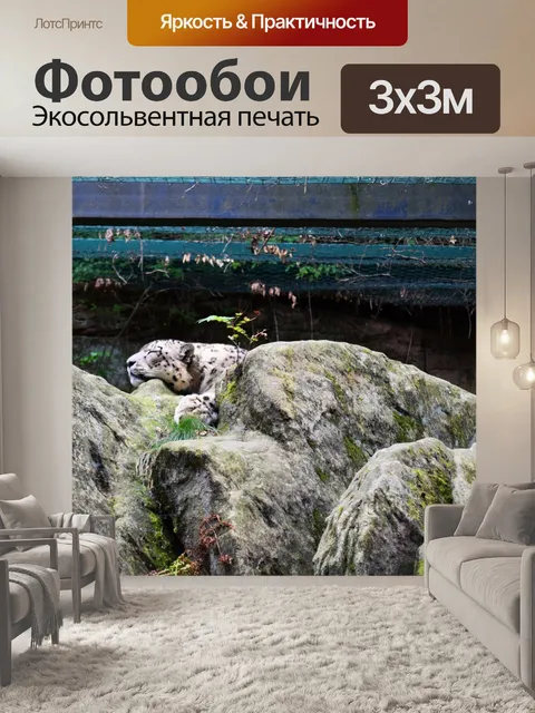 Фотообои Снежный барс