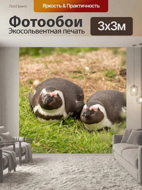 Фотообои Пингвин