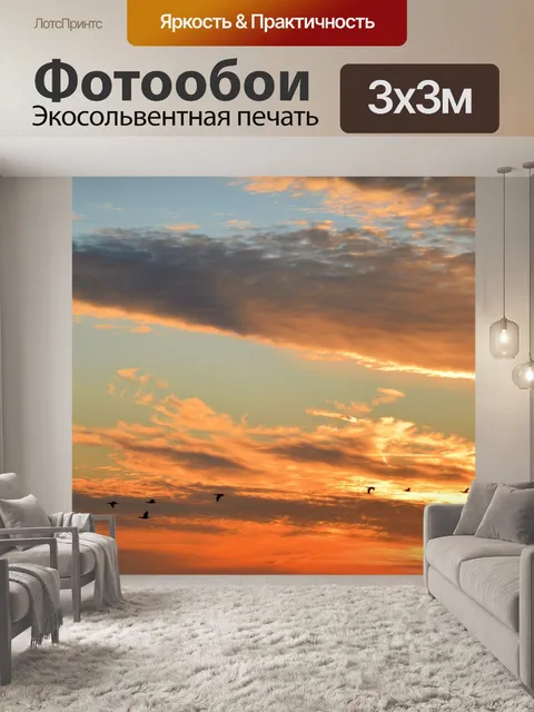 Фотообои Большой баклан