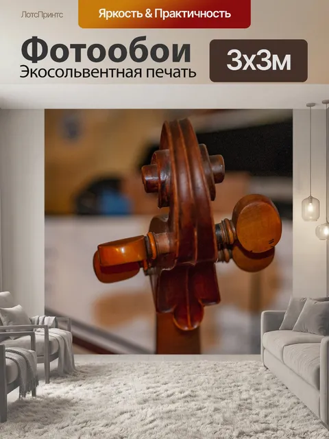 Фотообои Виолончельный свиток