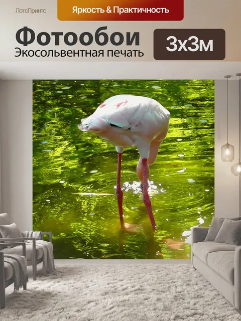 Фотообои Фламинго